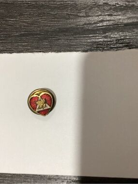 Intake Women of the Moose lapel pin of the fraternal values.